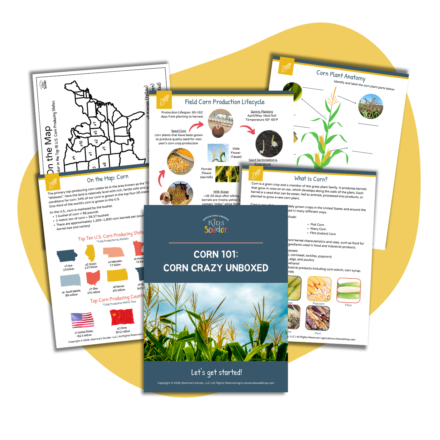 Corn 101: Corn Crazy Unboxed (Printable PDF)