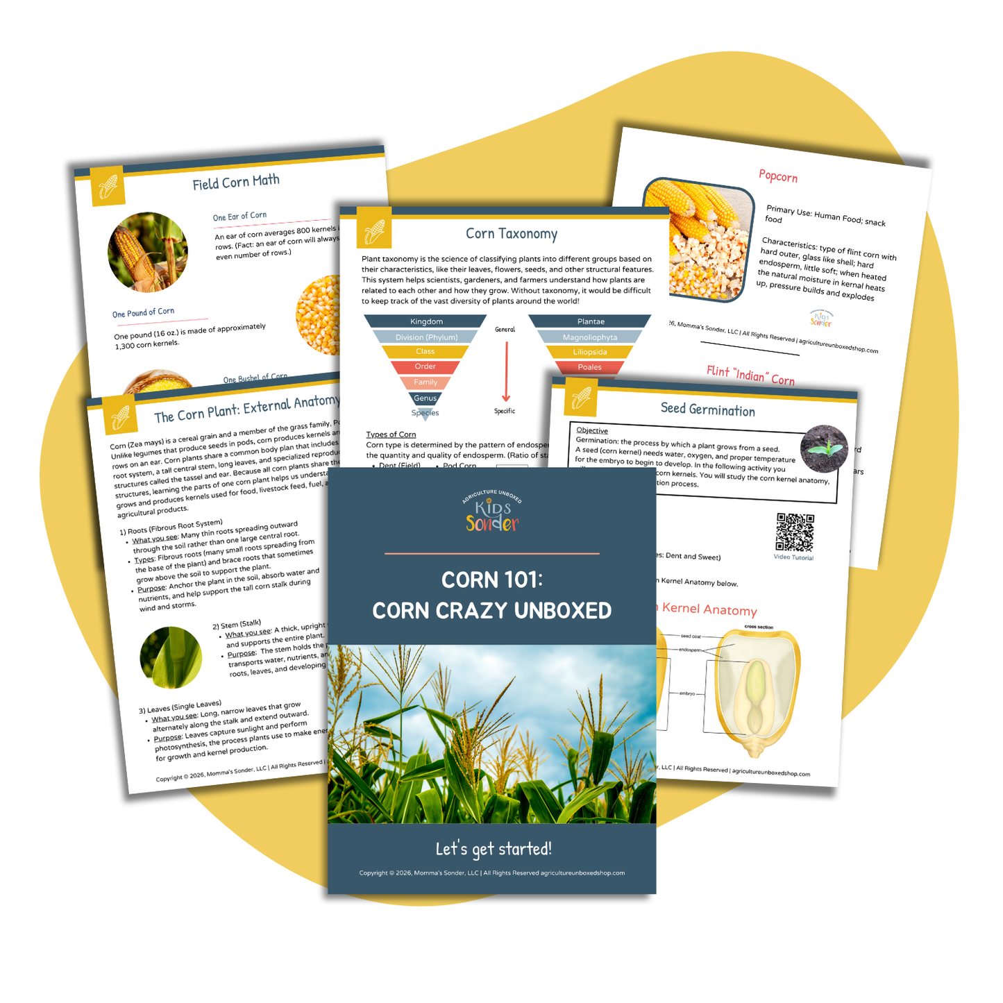 Corn 101: Corn Crazy Unboxed (Printable PDF)