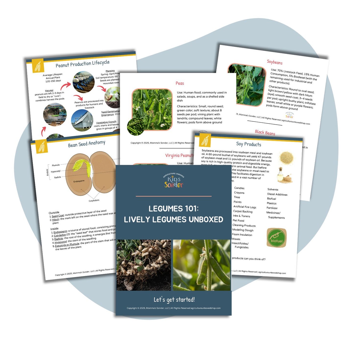 Legumes 101: Lively Legumes Unboxed (Printable PDF)
