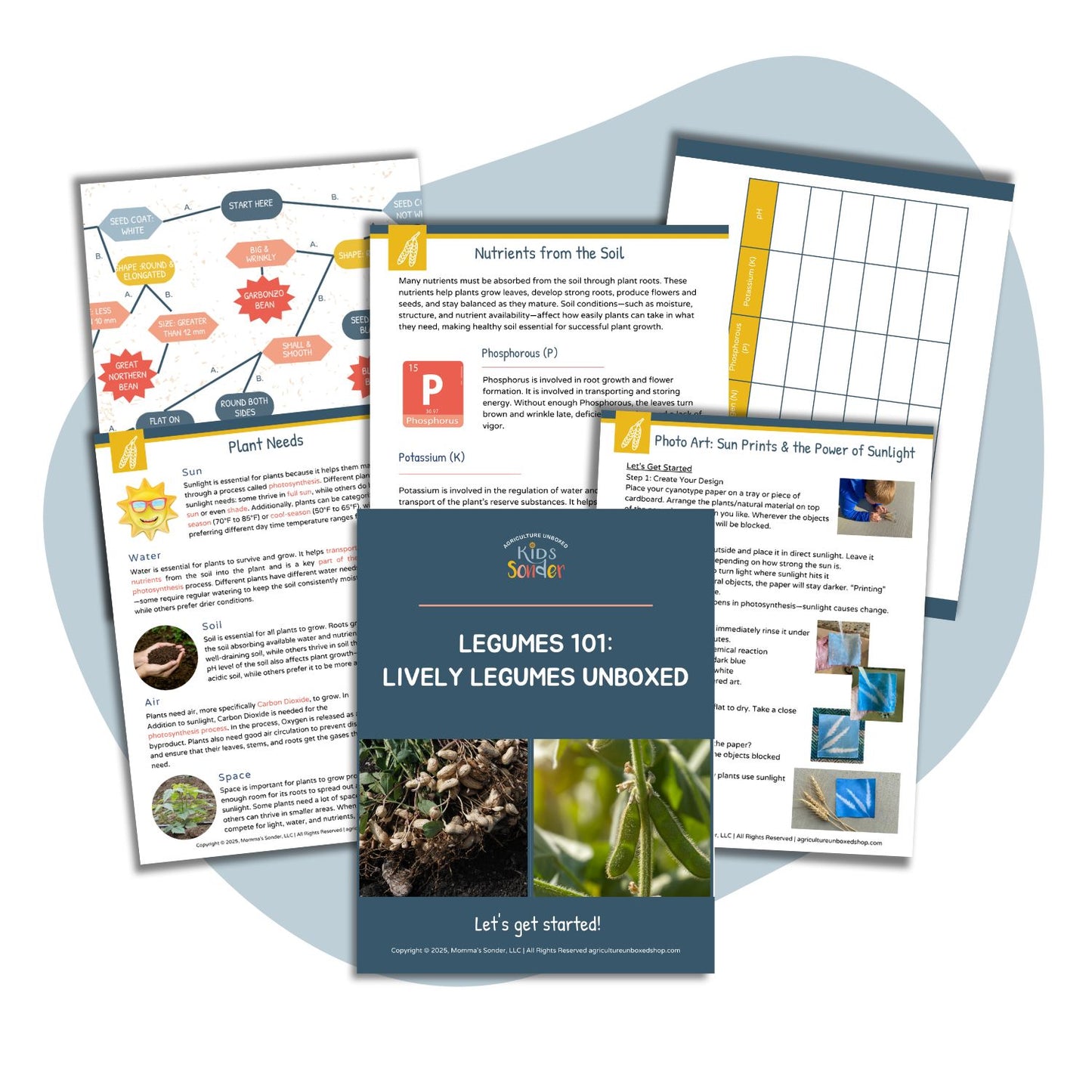 Legumes 101: Lively Legumes Unboxed (Printable PDF)