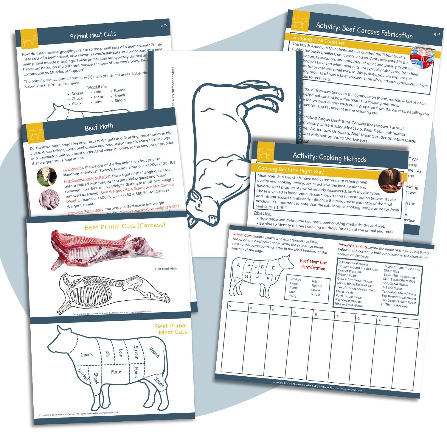 Basics of Meat Science: Beef Printable Unit Study – Agriculture Unboxed ...