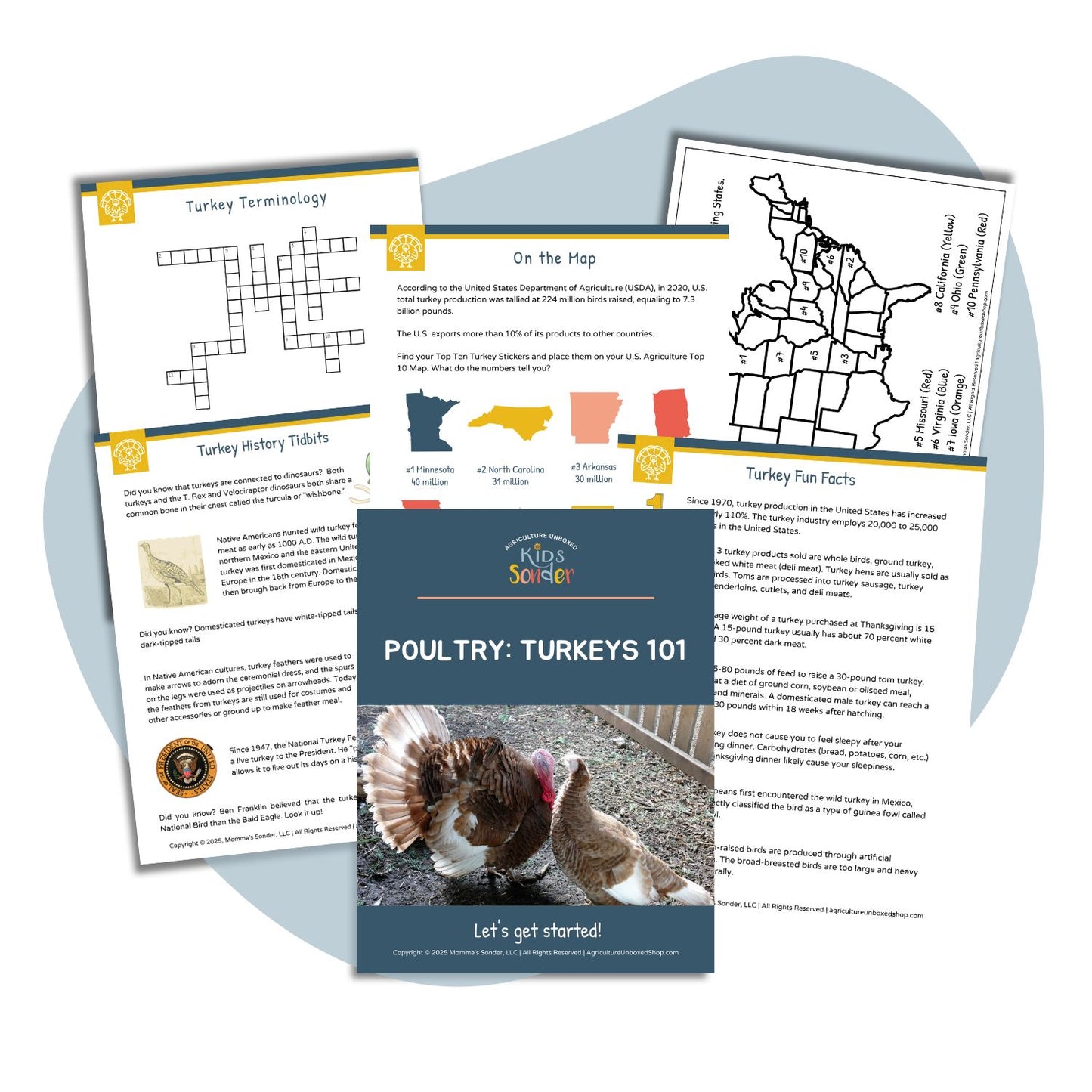 Small Turkeys Pdf Poultry: Turkeys 101 (Printable PDF) – Agriculture Unboxed Shop/Kids ...