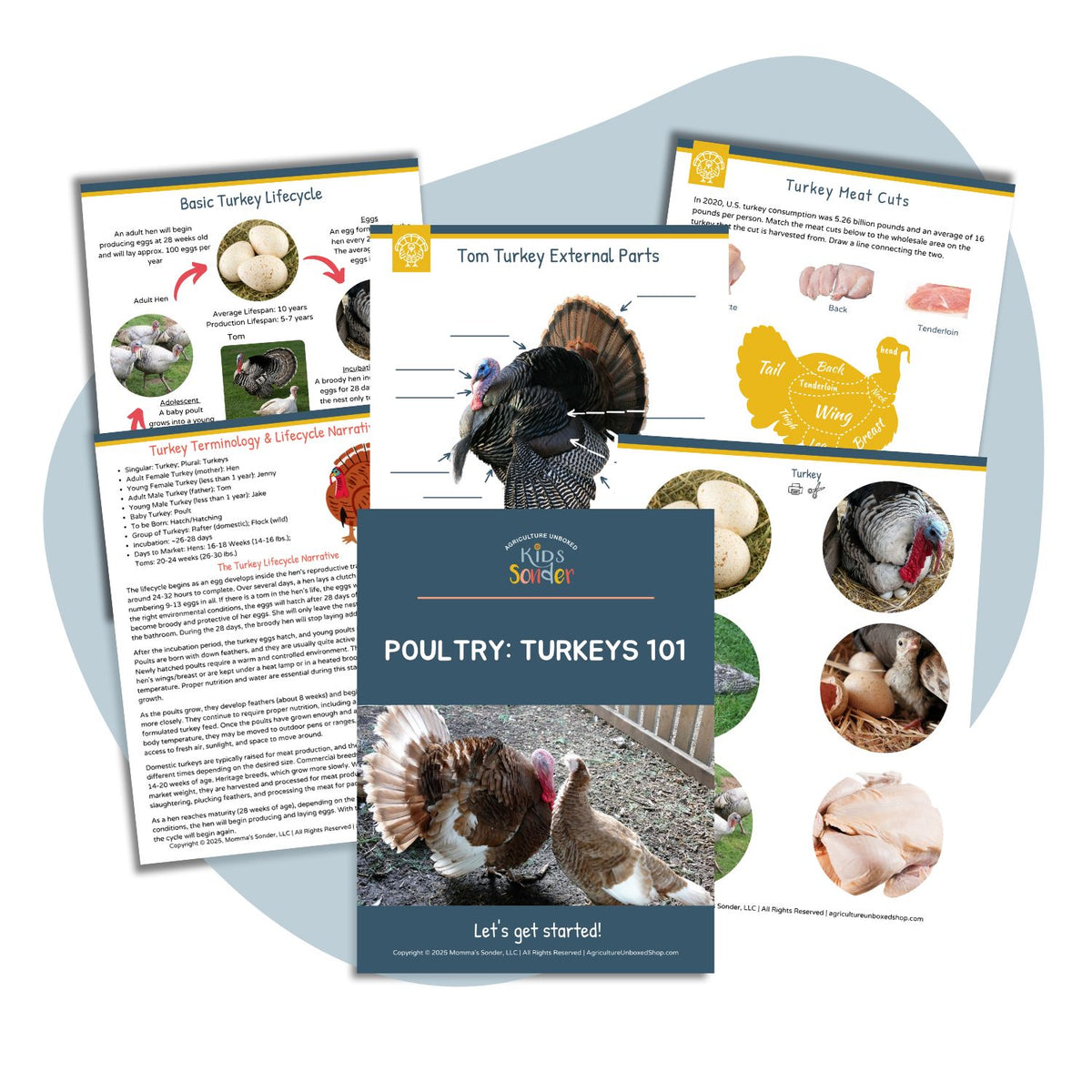 Poultry: Turkeys 101 (Printable PDF) – Agriculture Unboxed Shop/Kids ...