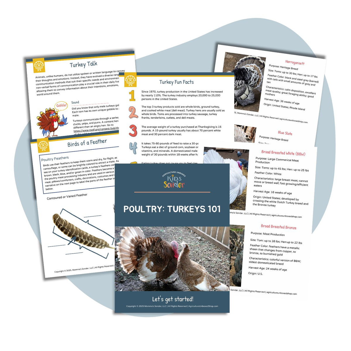 Small Turkeys Pdf Poultry: Turkeys 101 (Printable PDF) – Agriculture Unboxed Shop/Kids ...