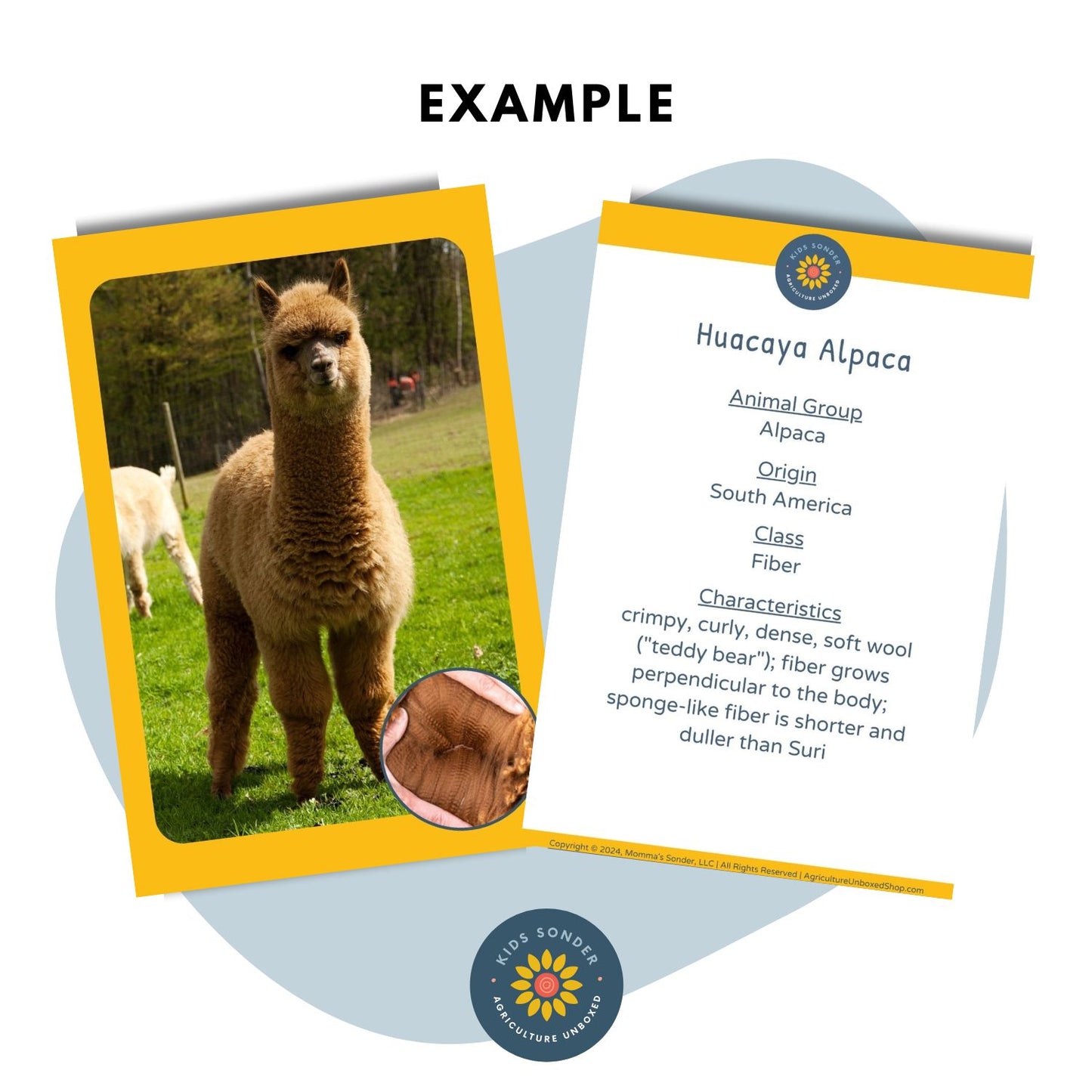 alpaca breed identification flashcards