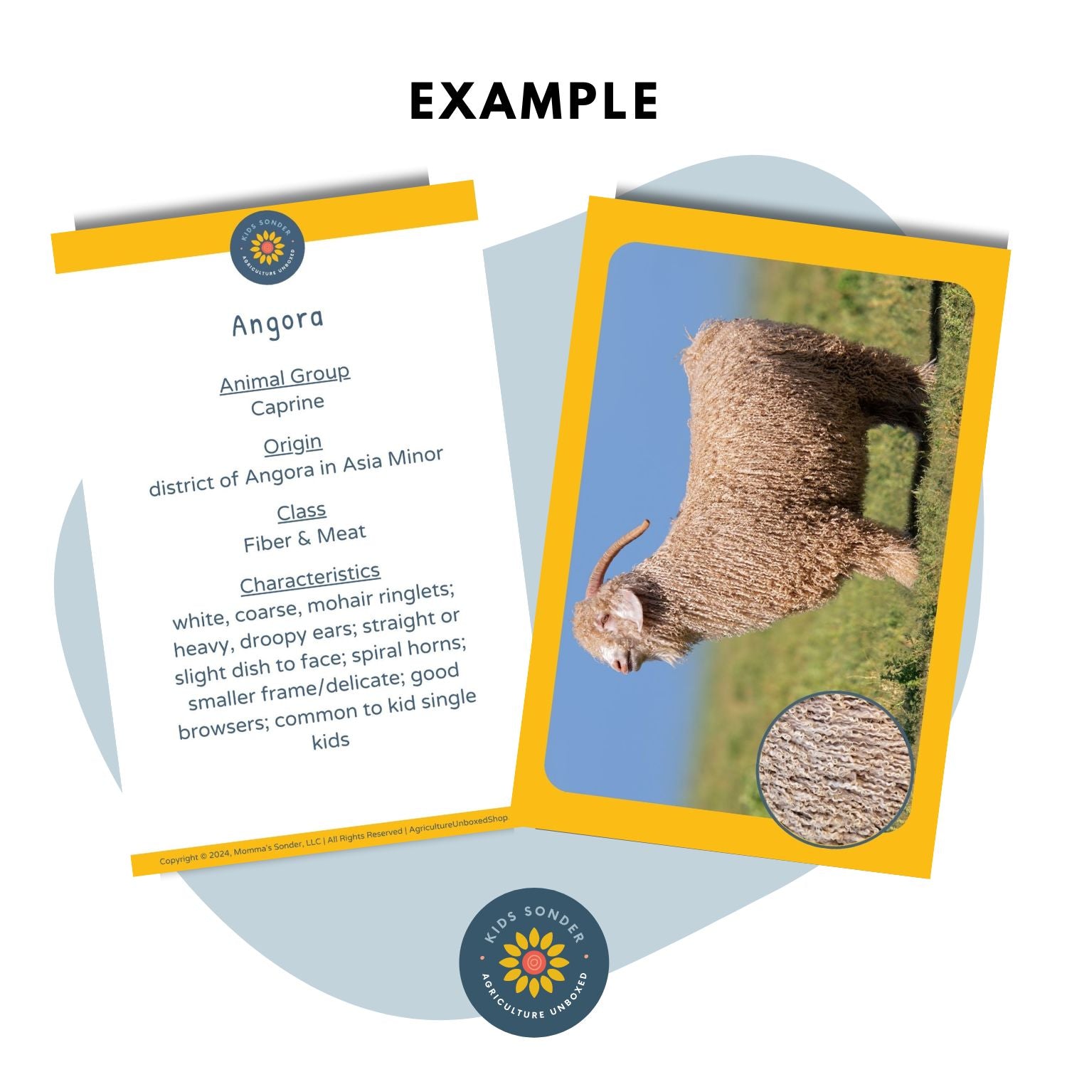goat breed identification flashcards Angora