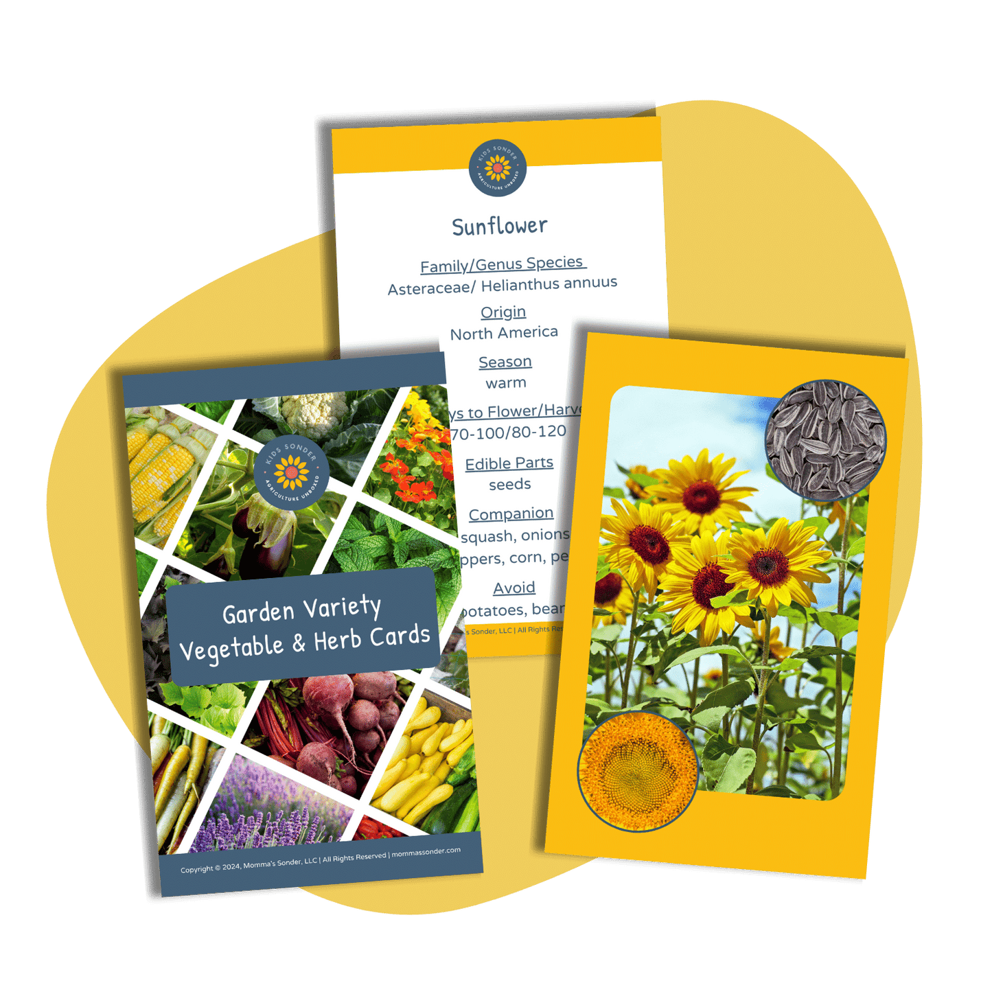 Plant Science: Garden Variety Vegetable & Herb Flashcards
