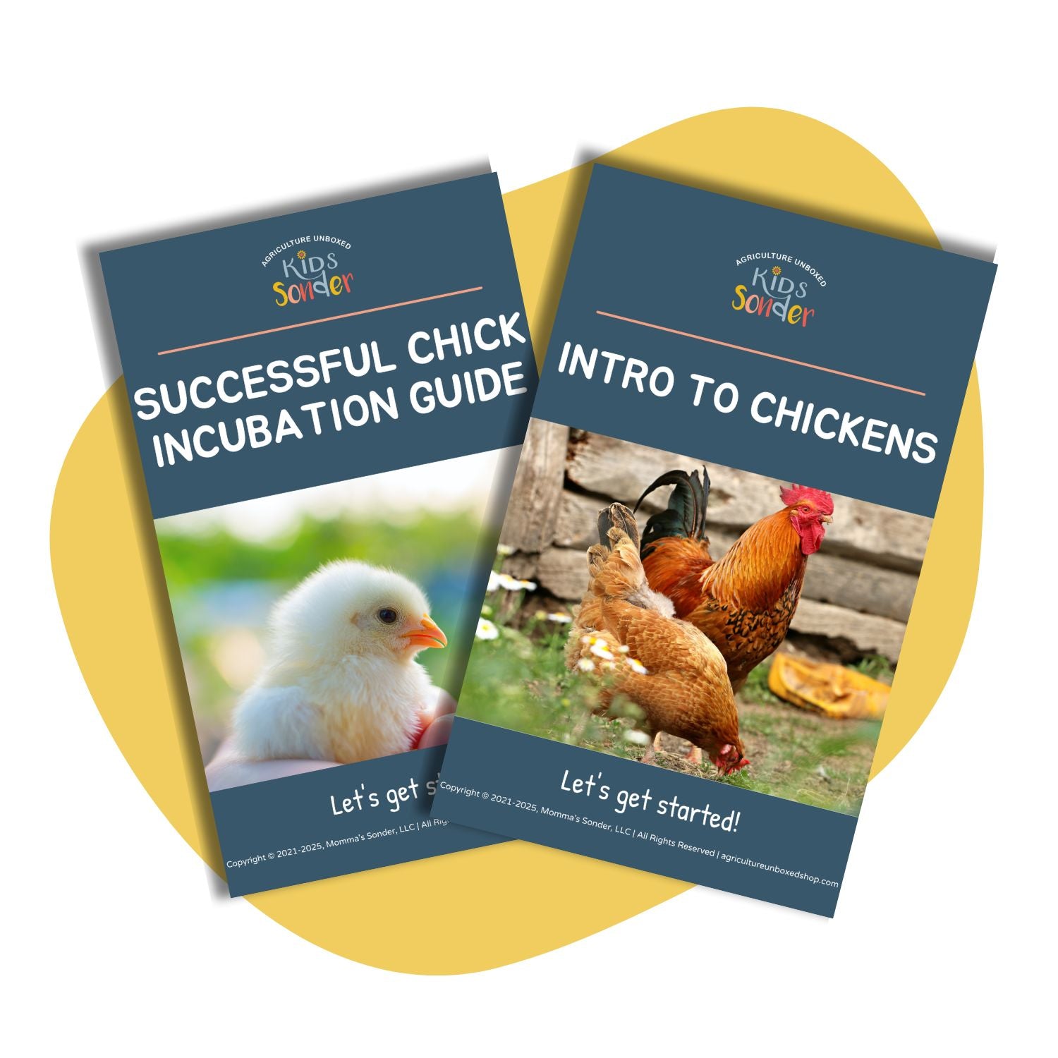 Chick Incubation and Intro to Chickens Lesson Guides