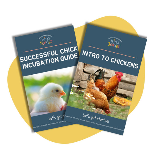 Chick Incubation and Intro to Chickens Lesson Guides