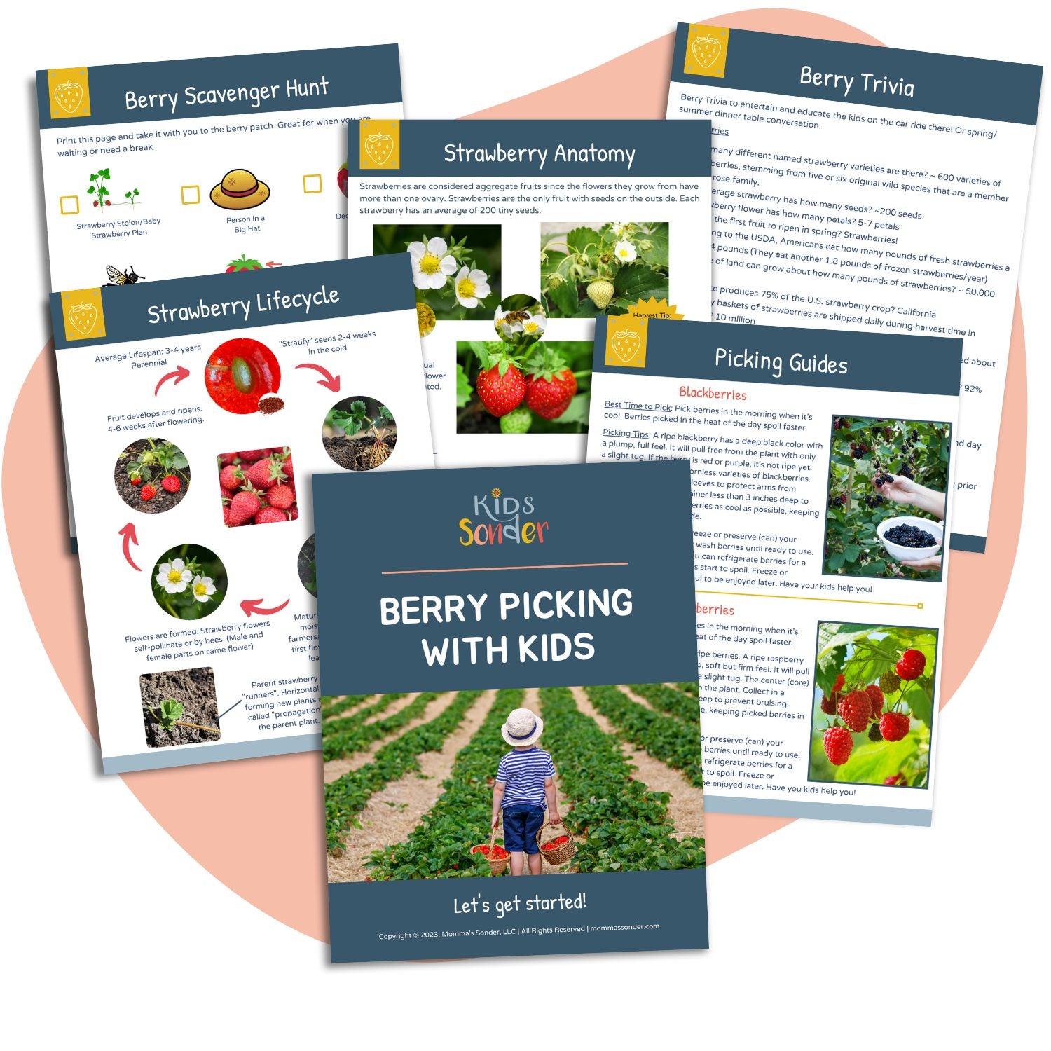 Berry Picking and Kids Lesson Guide