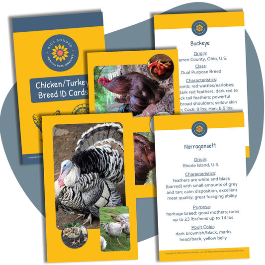 turkey chicken poultry breed identification flashcards