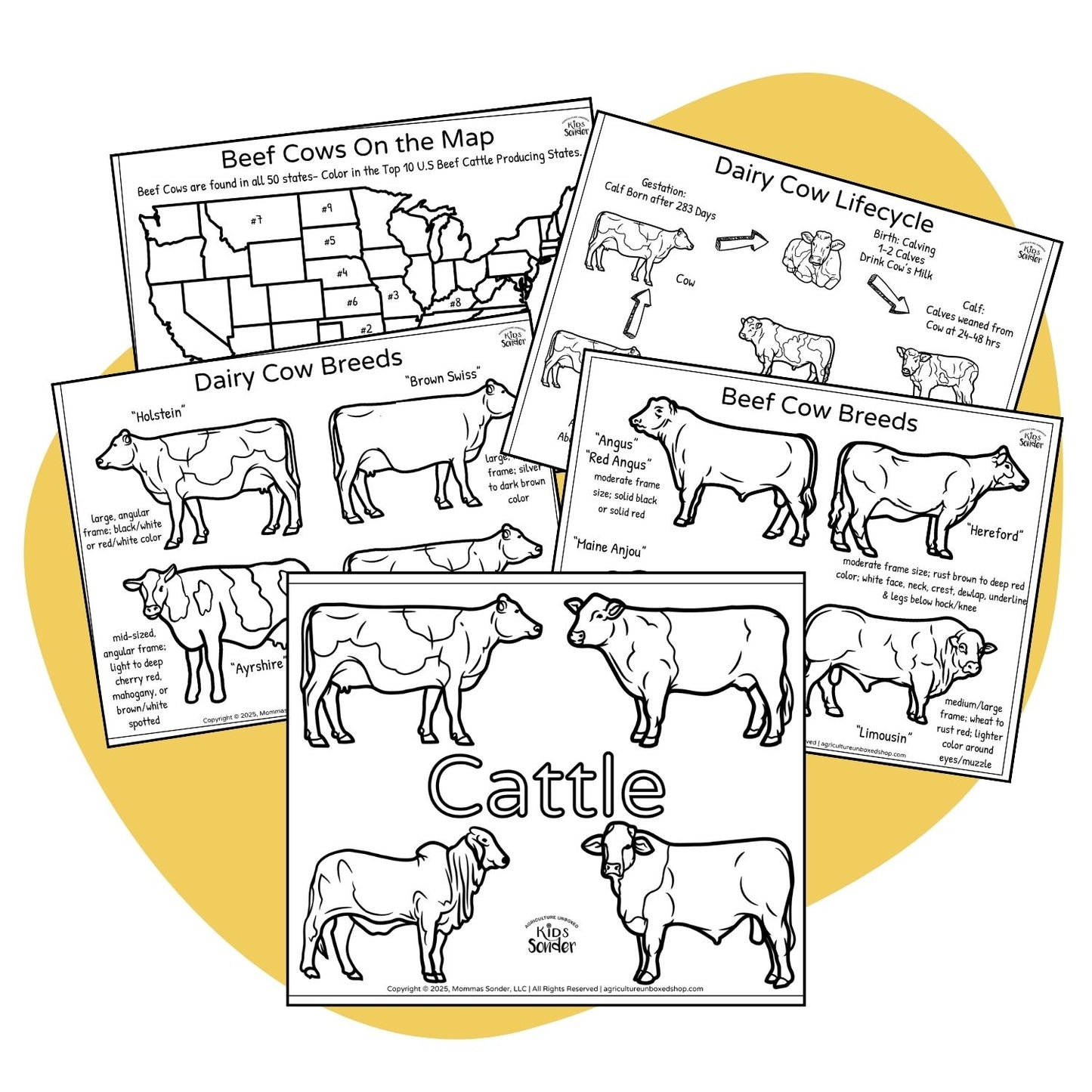 Dairy and Beef Cattle Coring Pages 