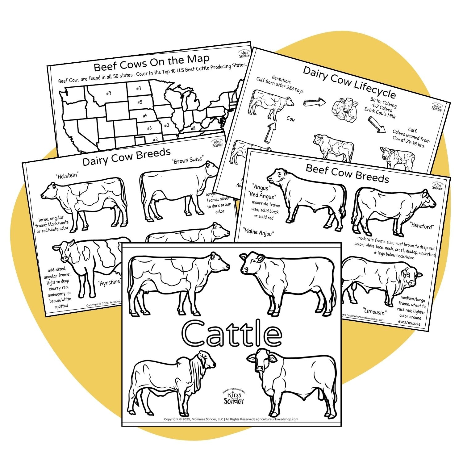 Dairy and Beef Cattle Coring Pages 