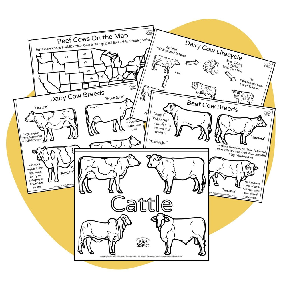 Cow Coloring Pages (Printable PDF) – Agriculture Unboxed Shop/Kids ...