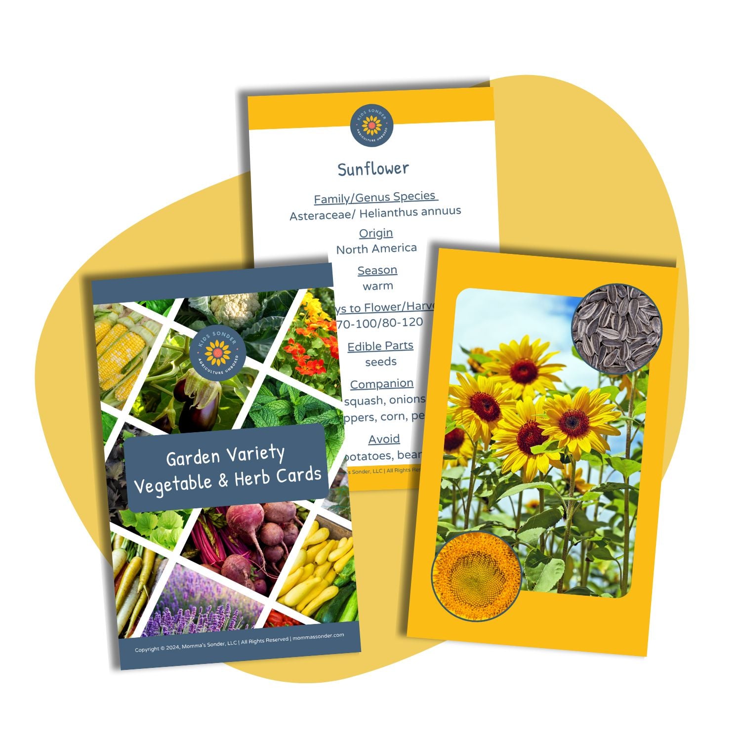 Kids Garden and Herb Flashcards 