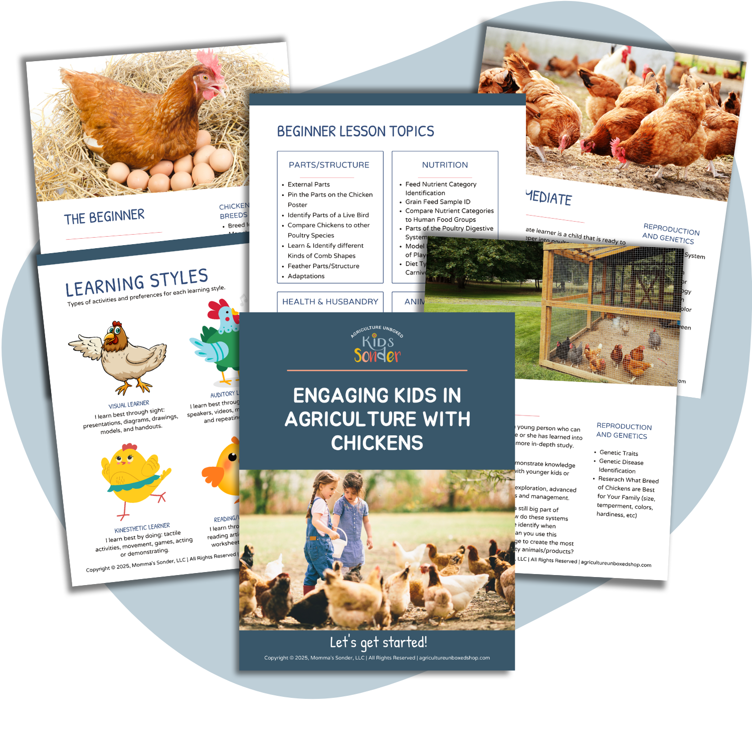 Teaching Kids About Agriculture with Chickens Guide