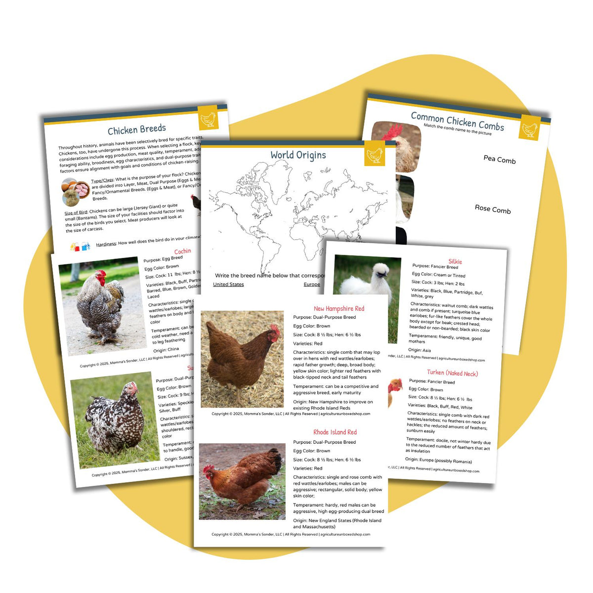 Beginner Introduction to Chickens Printable Unit Study – Agriculture ...