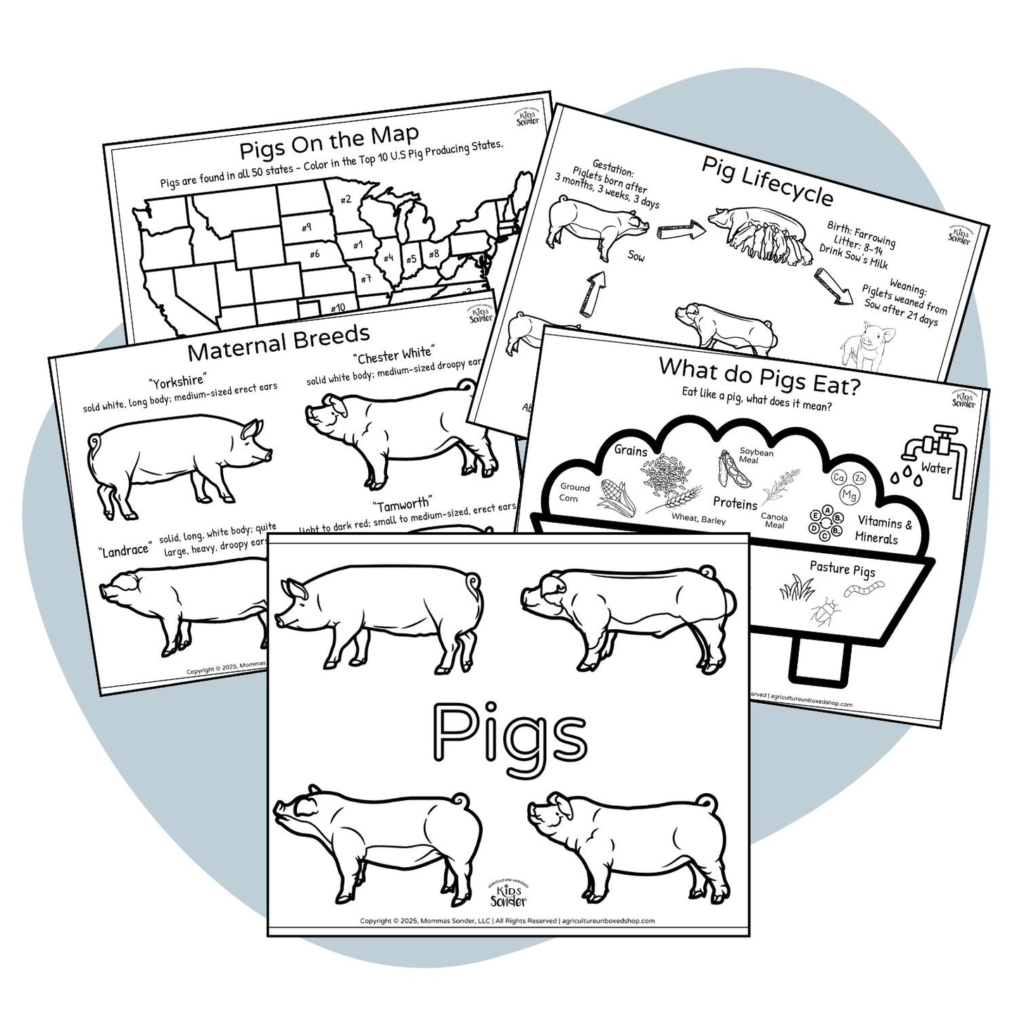 Swine coloring pages 