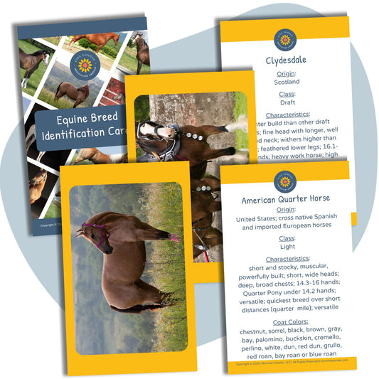 equine horse breed identification flashcards