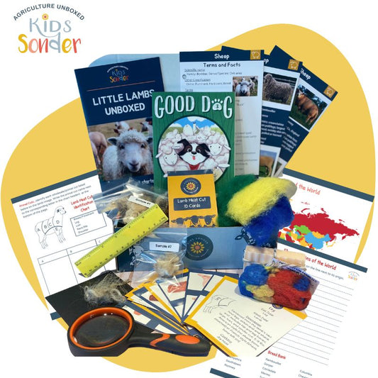 Sheep agriculture education learning kit 