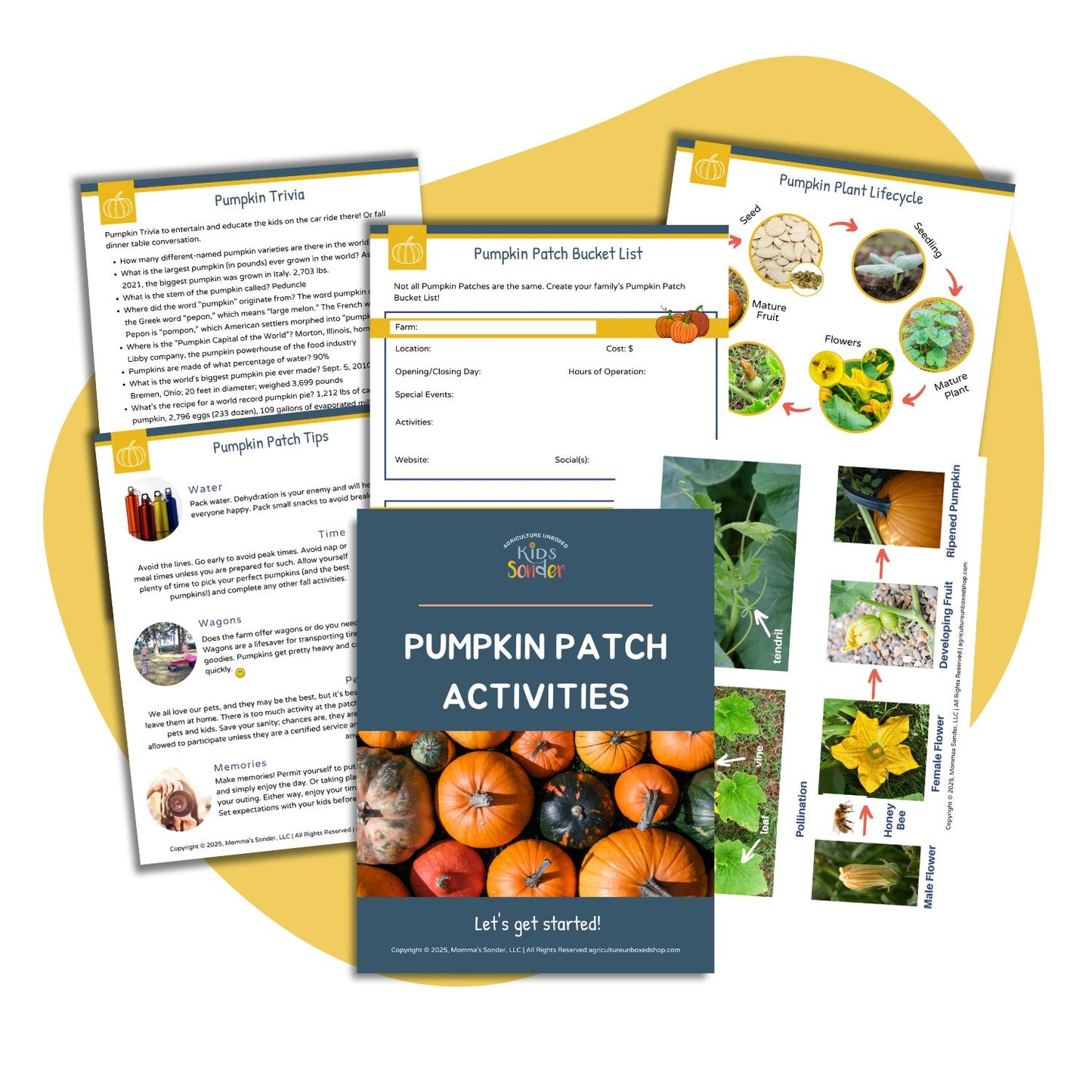 Pumpkin Patch Activity Pack (Printable PDF)