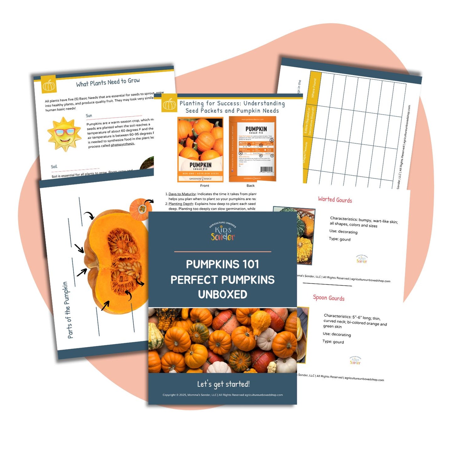 Pumpkins 101: Perfect Pumpkins Unboxed (Printable PDF)