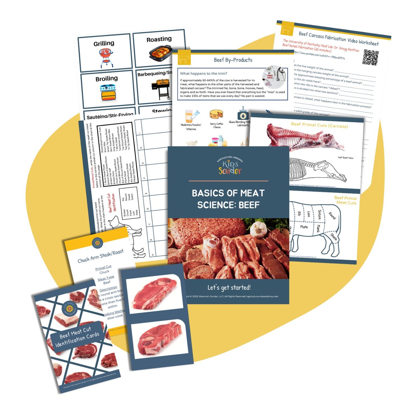 Meat Science: Beef Unit Study (Flashcards & Printable PDF)