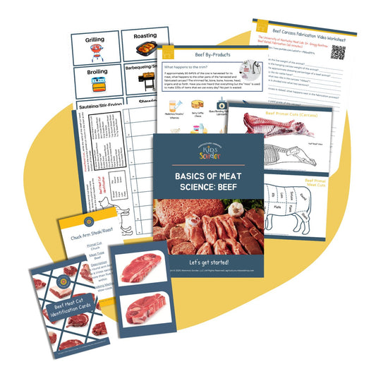 Meat Science: Beef Unit Study (Flashcards & Printable PDF)