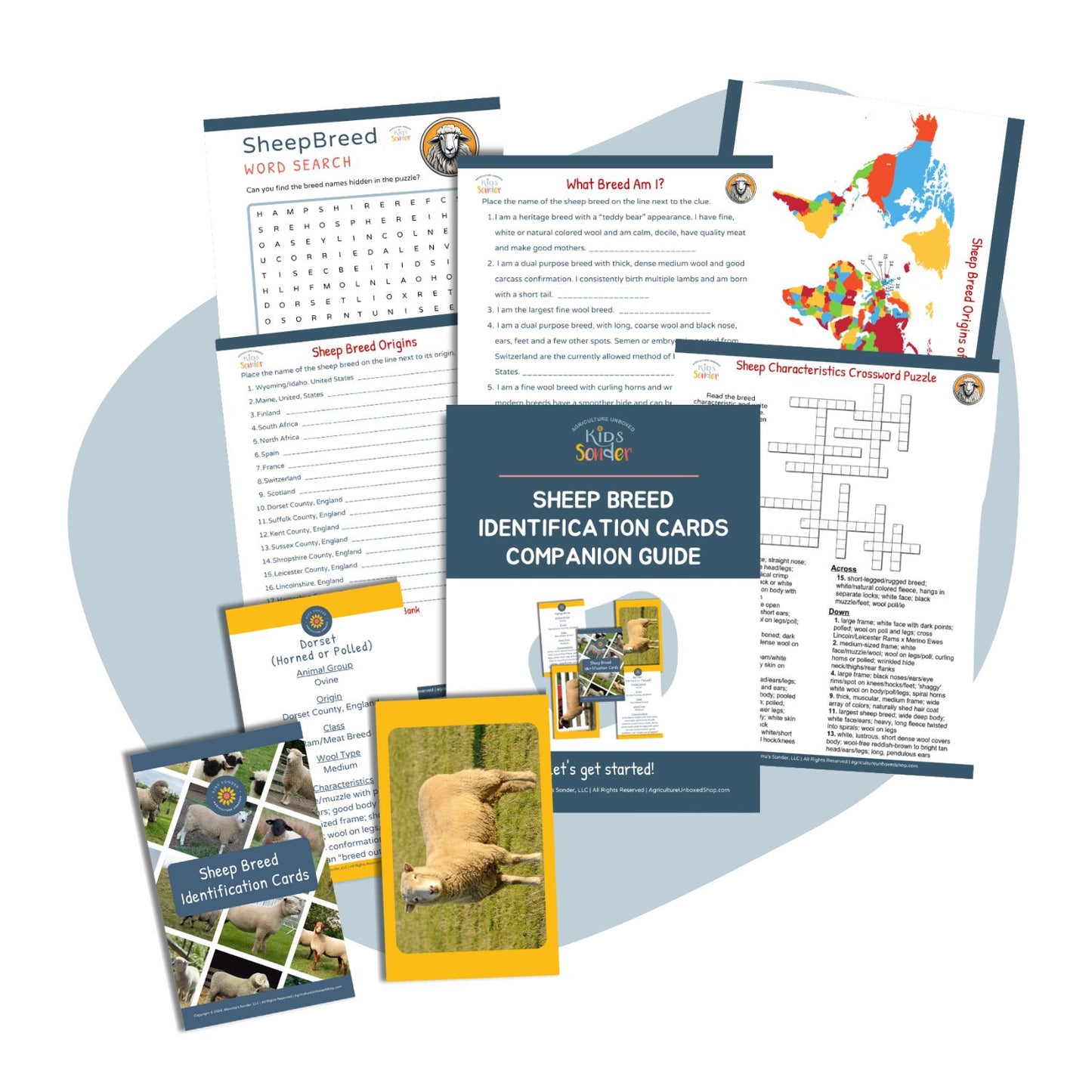 Sheep Breed Identification Learning Set