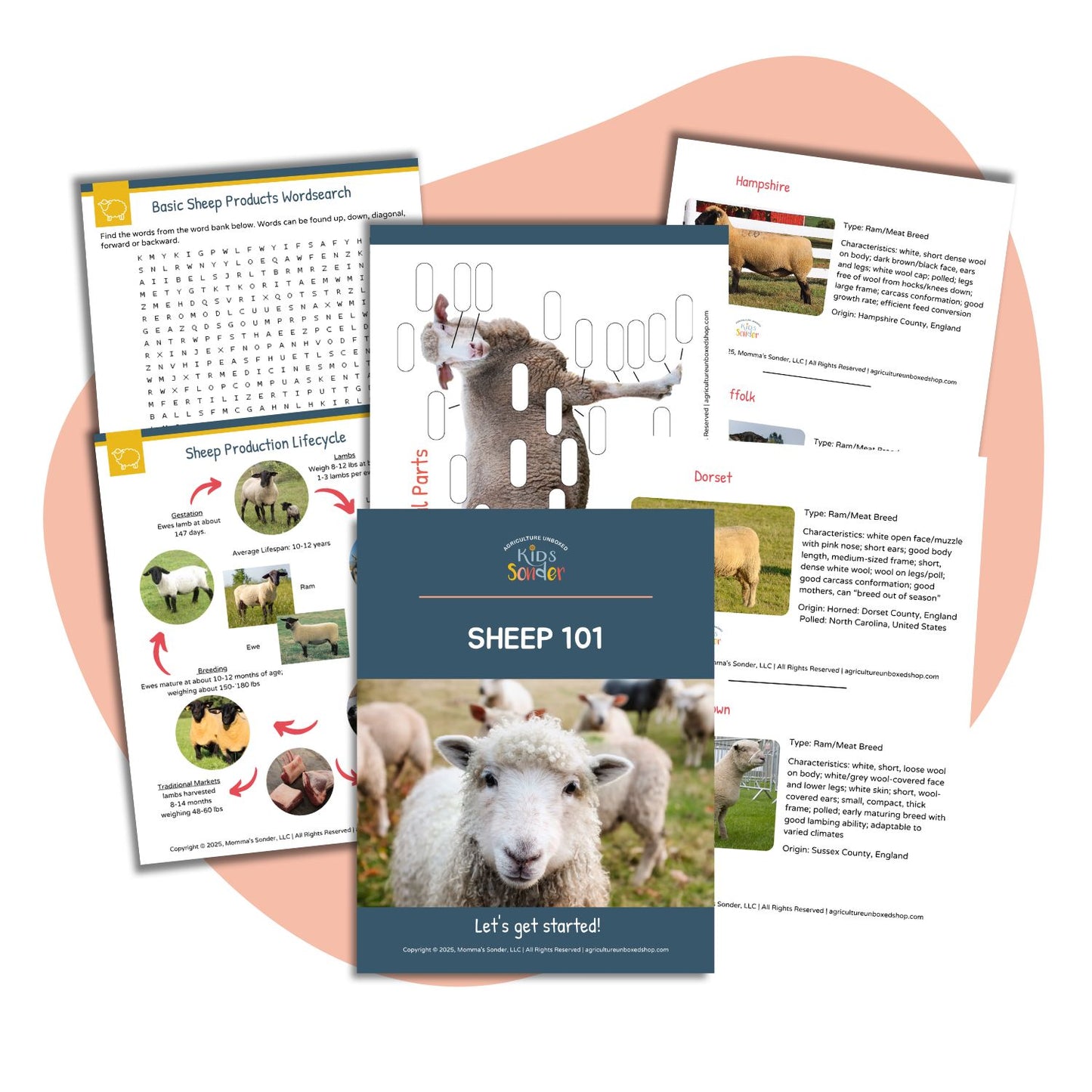 Sheep 101 (Printable PDF)