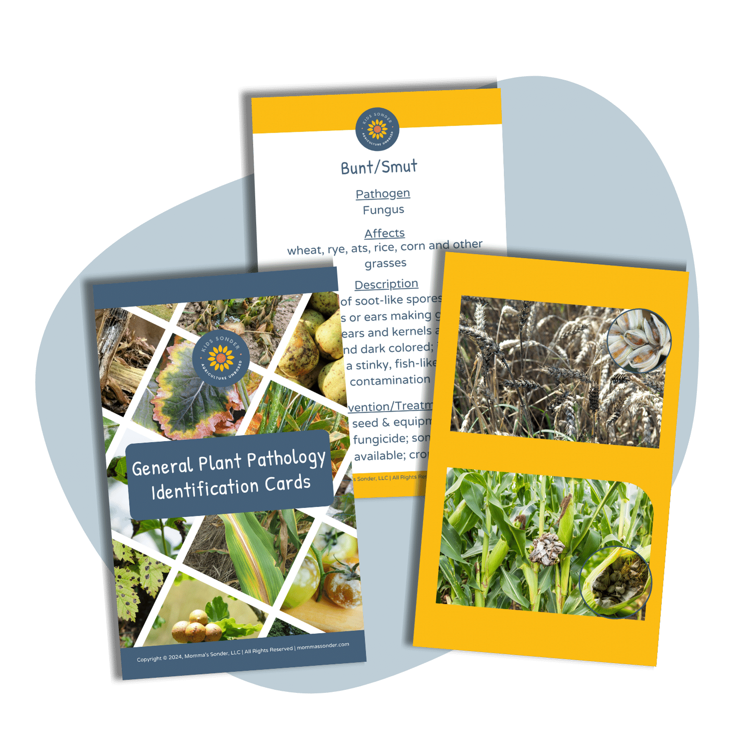 plant pathology identification flashcards kids