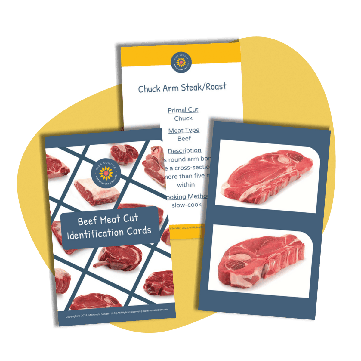 Meat Identification Meat Science: Beef Unit Study (Flashcards & Printable PDF ...
