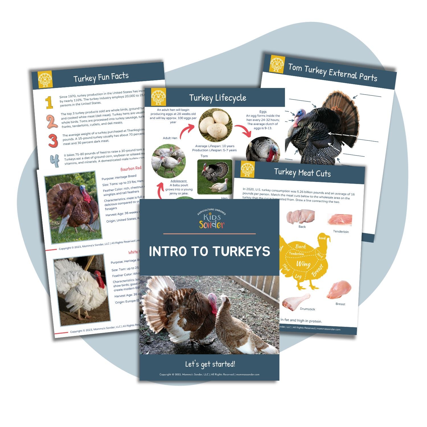 Small Turkeys Pdf Introduction to Turkeys (Printable PDF) – Agriculture Unboxed Shop/Kids ...