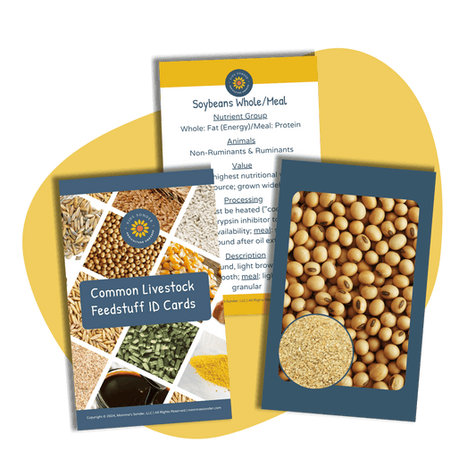 livestock feedstuff identification flashcards