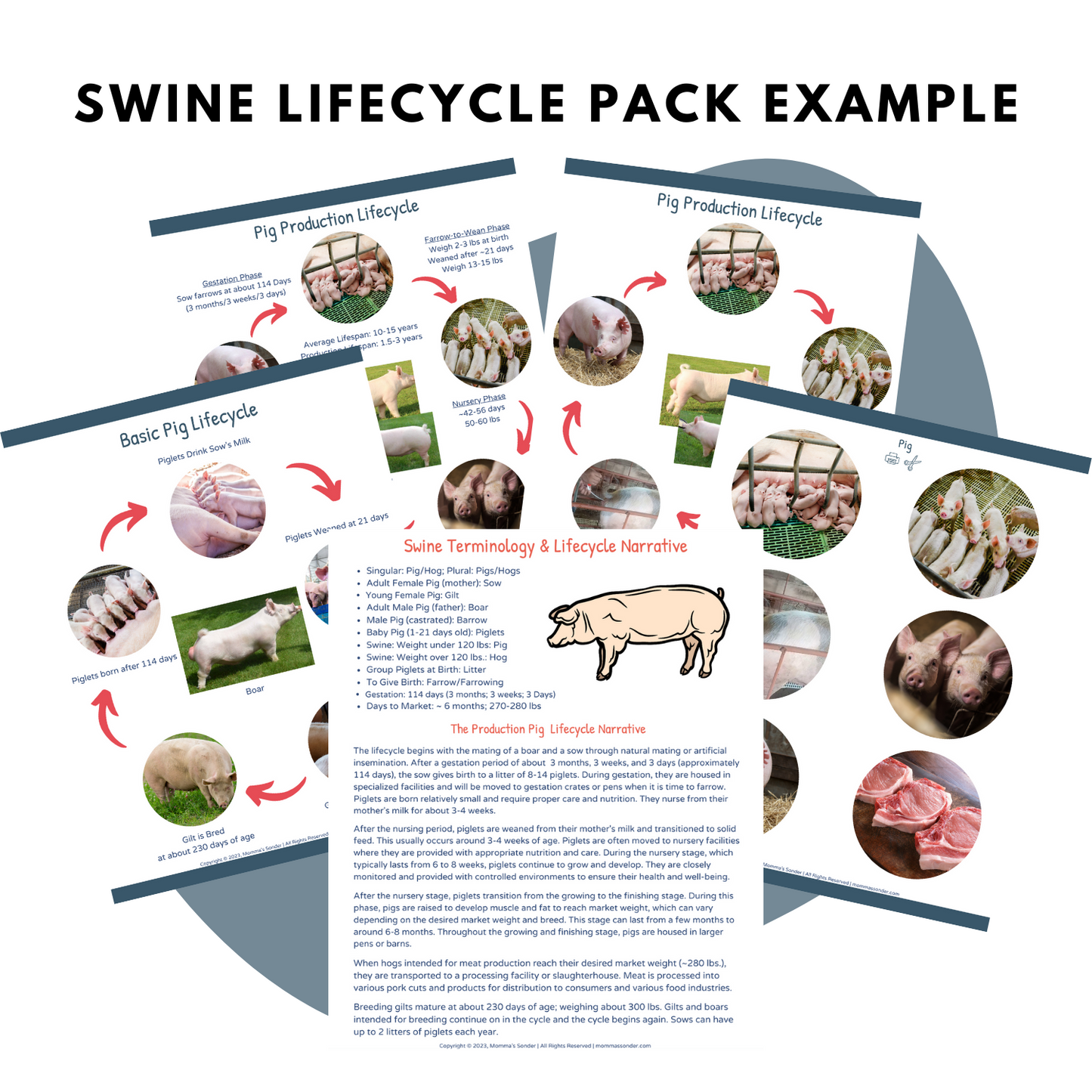 Farm Animal Lifecycles Printable Unit Study