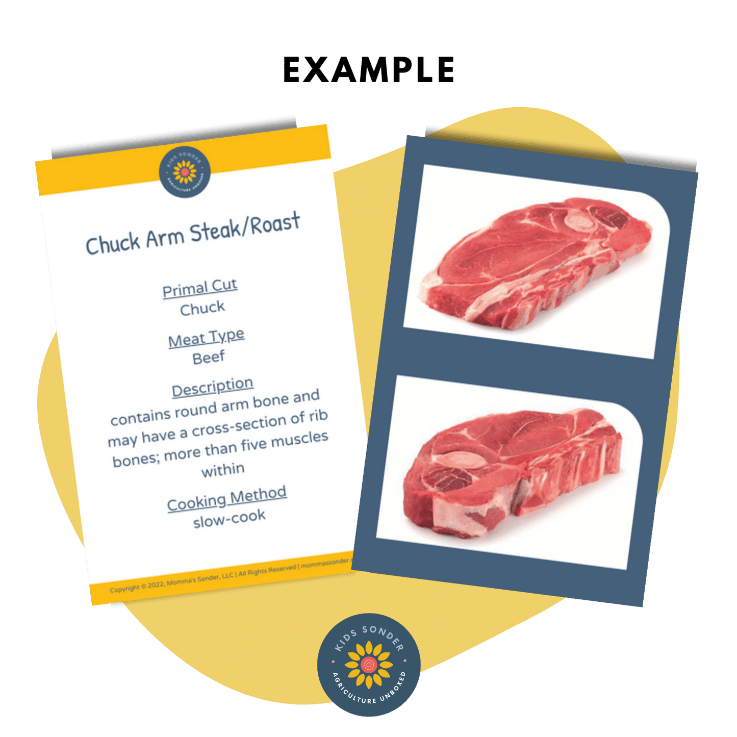 Meat Science: Wholesale/Retail Beef Meat Cut Identification Flashcards