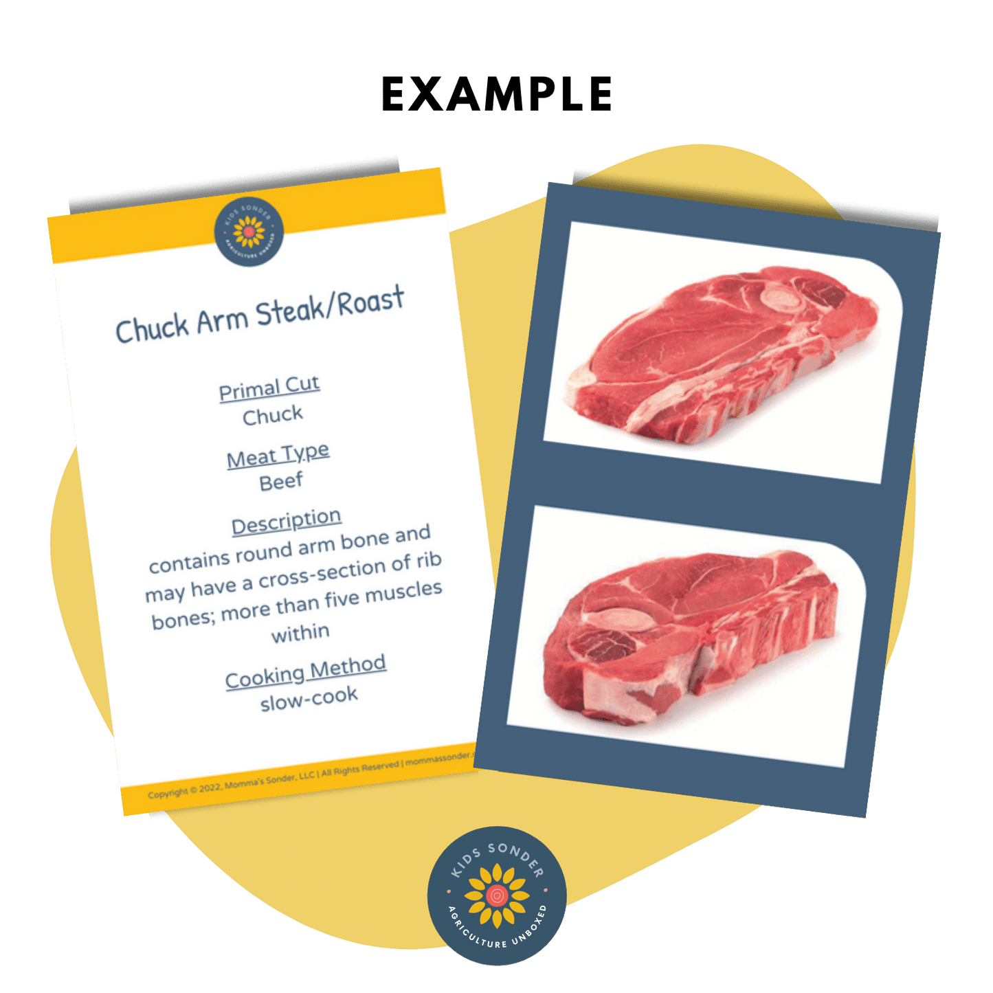 beef meat cut identification flashcards chuck