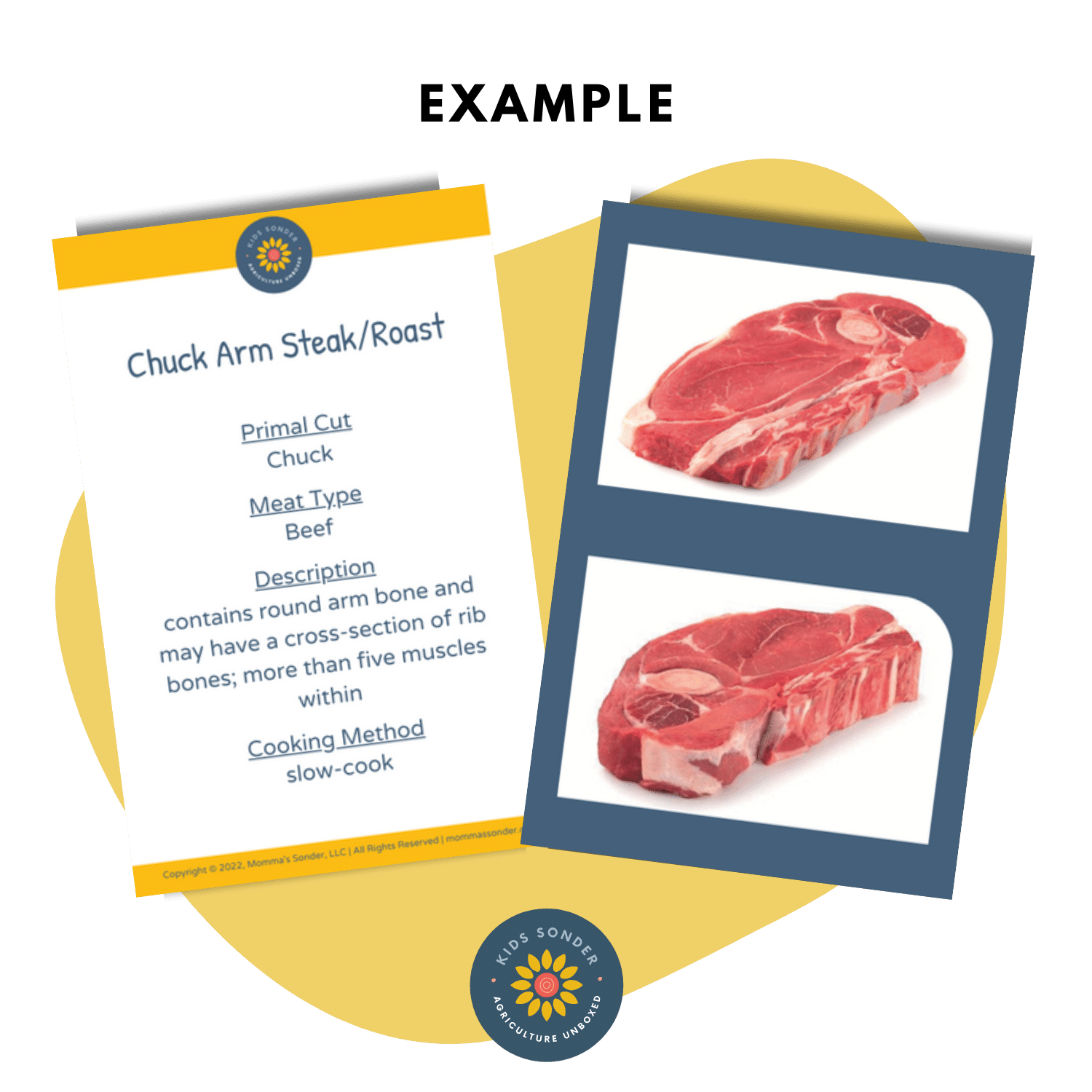 beef meat cut identification flashcards chuck