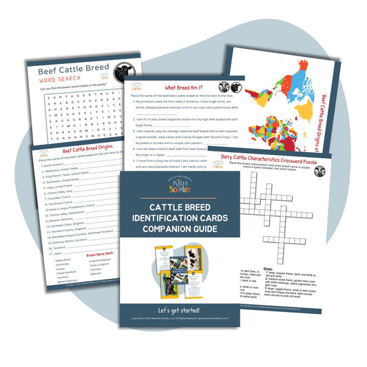 Dairy and beef breed identification activity pages