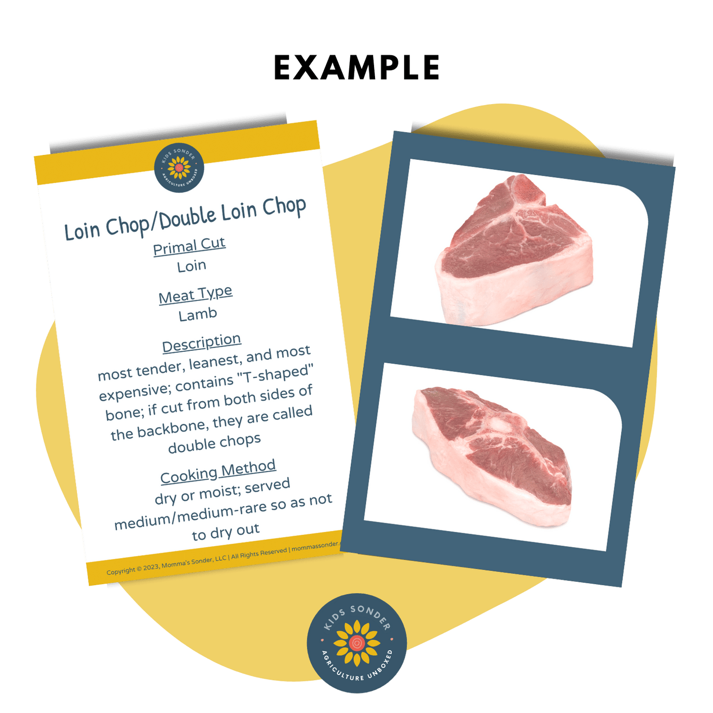 Meat Science: Wholesale/Retail Lamb Meat Cut Identification Flashcards