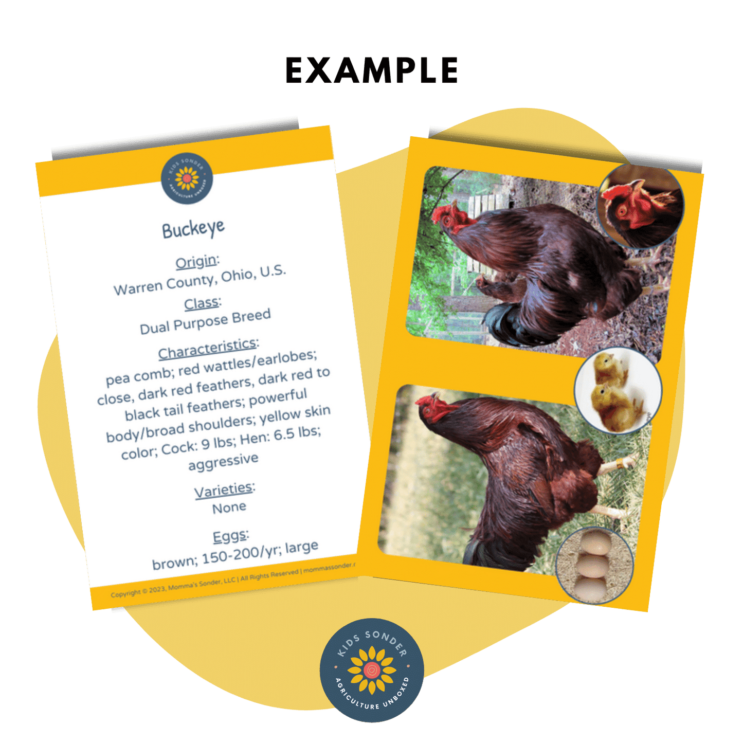 Chicken and Turkey Breed Identification Flashcard Set