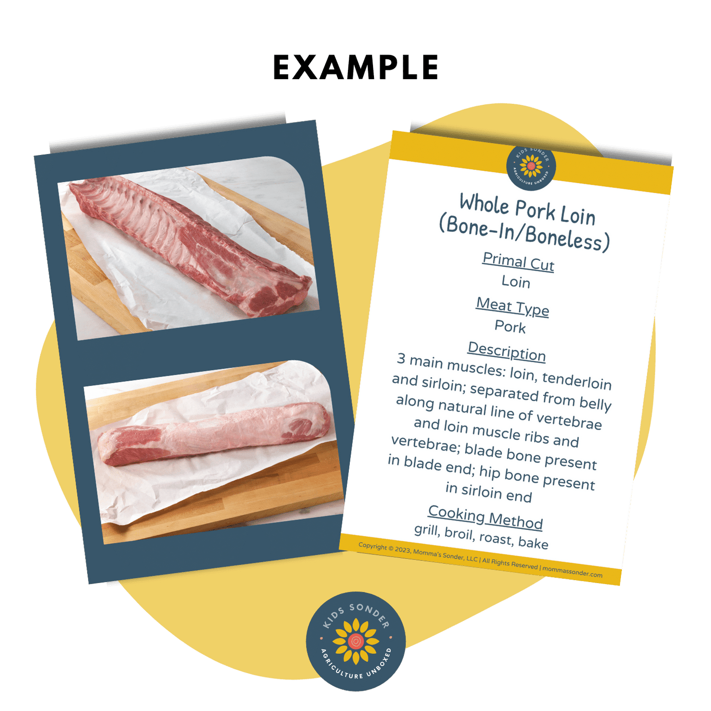 Meat Science: Wholesale/Retail Pork Meat Cut Identification Flashcards