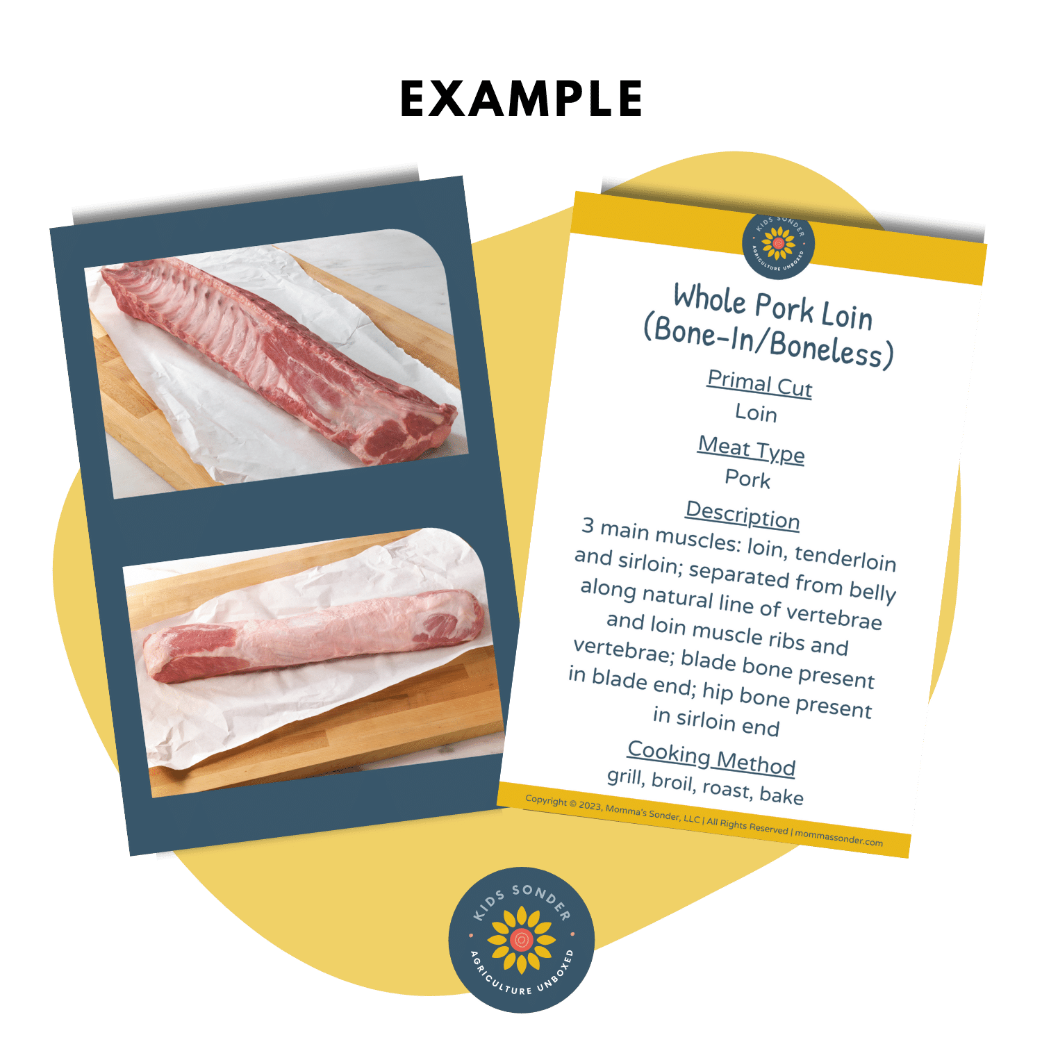 pork meat cut identification flashcards Blade Chop