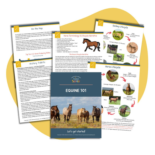 Equine 101 (Introduction) (Printable PDF)
