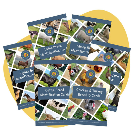 Flashcards: All Breed Flashcard Bundle