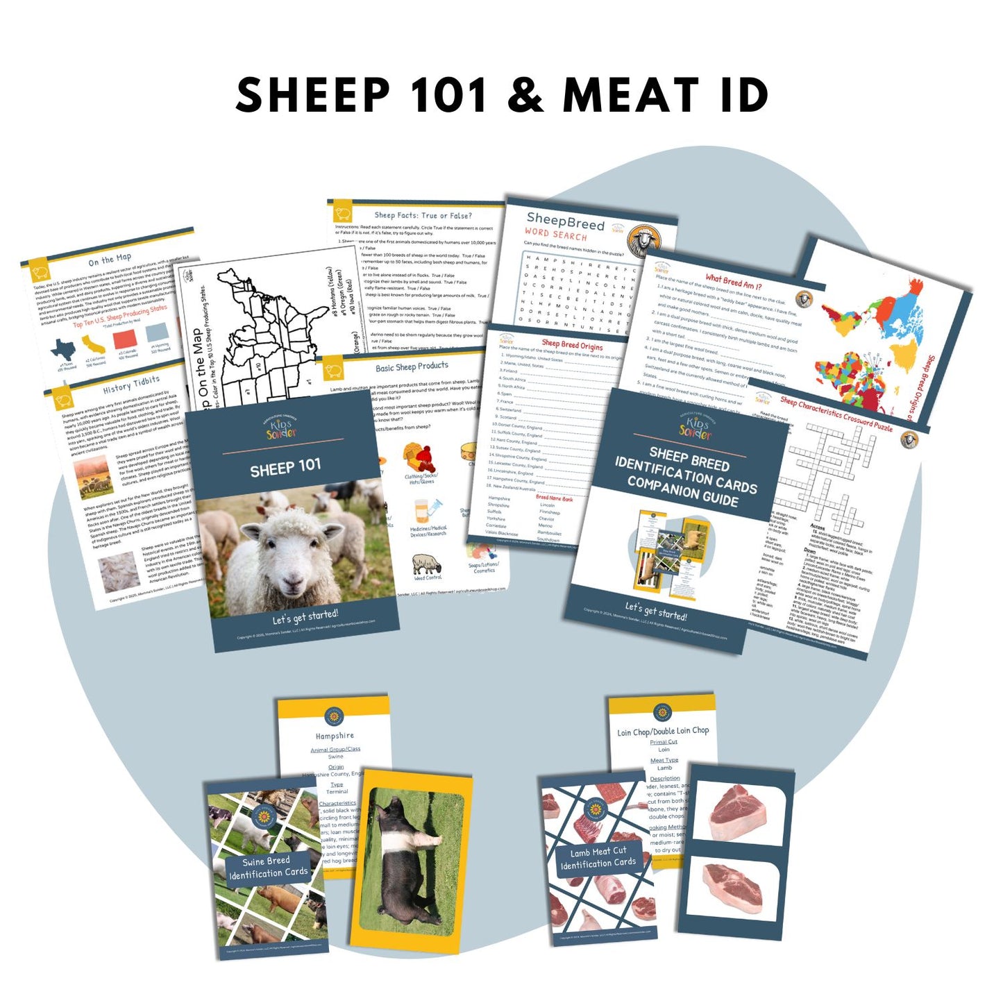 Sheep: Exploring Animal Science Bundle