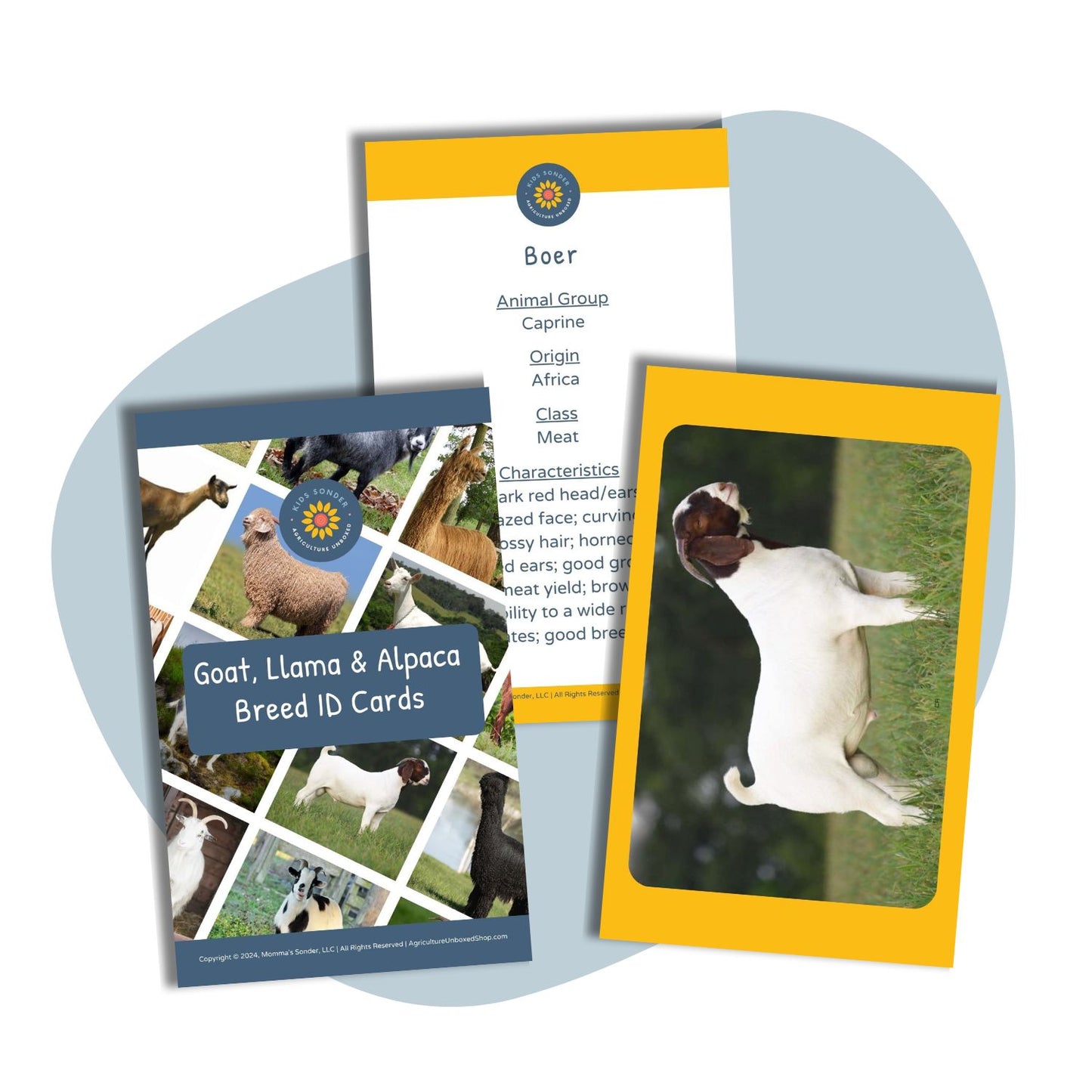 Goat llama alpaca breed identification flashcards 