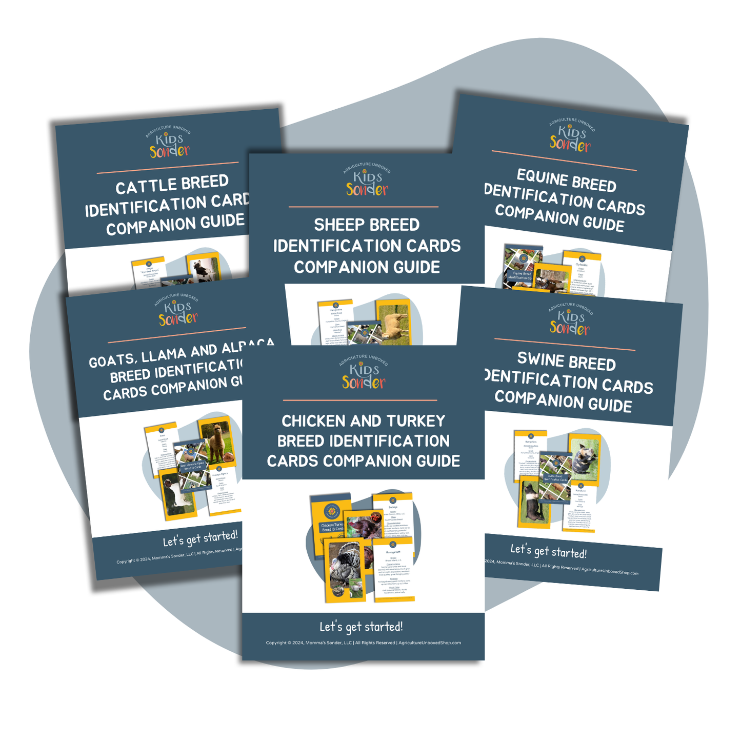 Bundle: Breed Flashcard Companion Worksheets