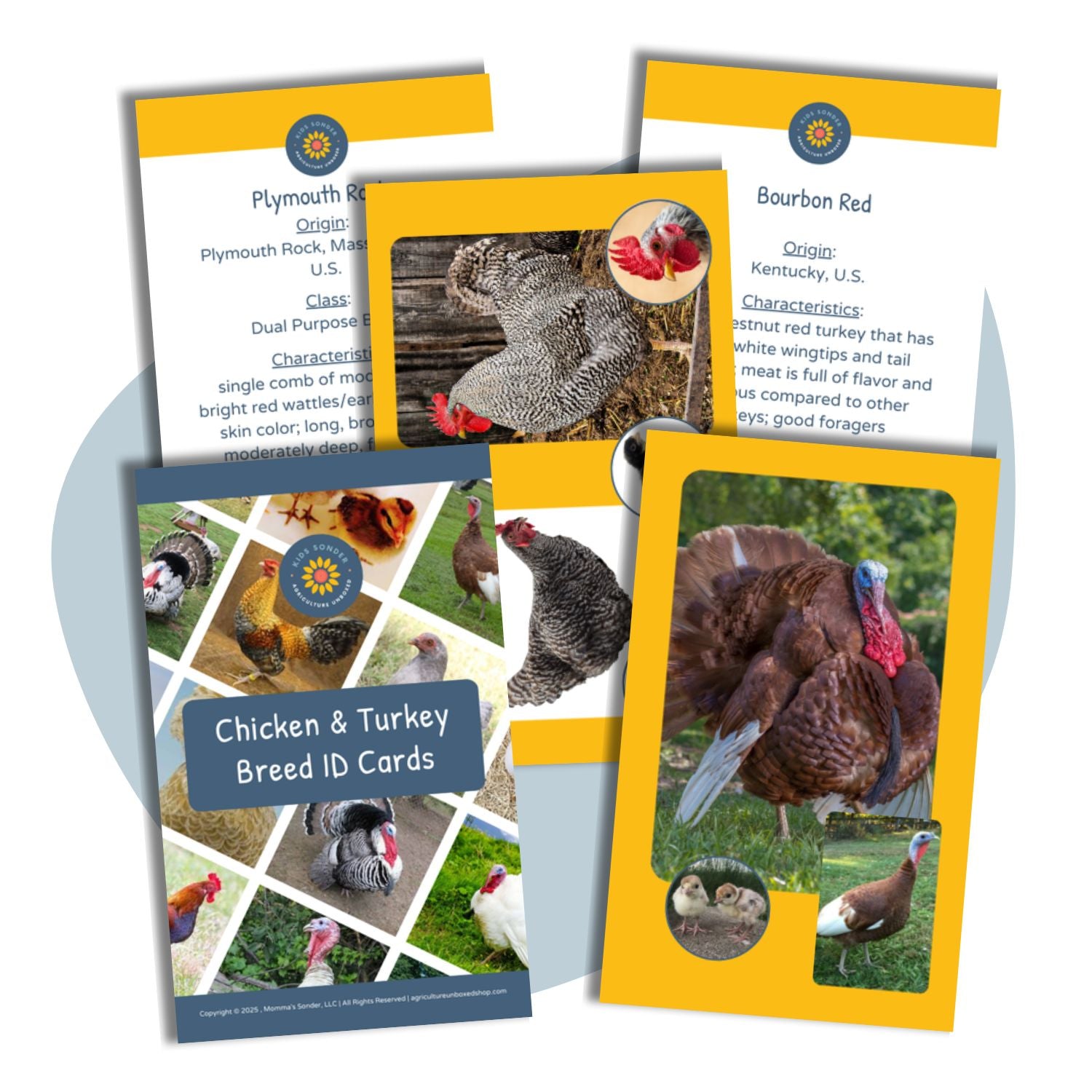 poultry breed identification cards