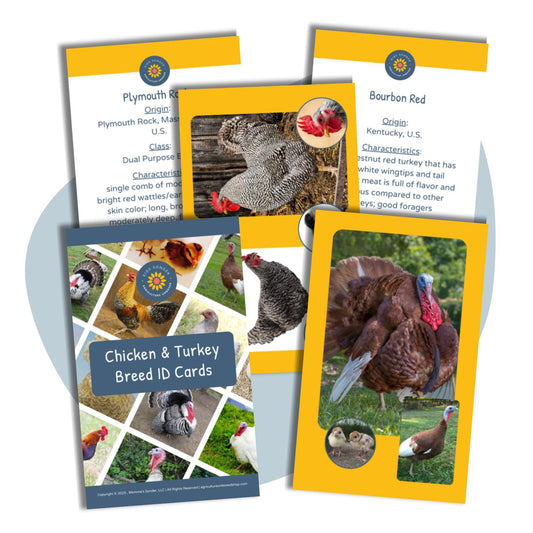 poultry breed identification cards